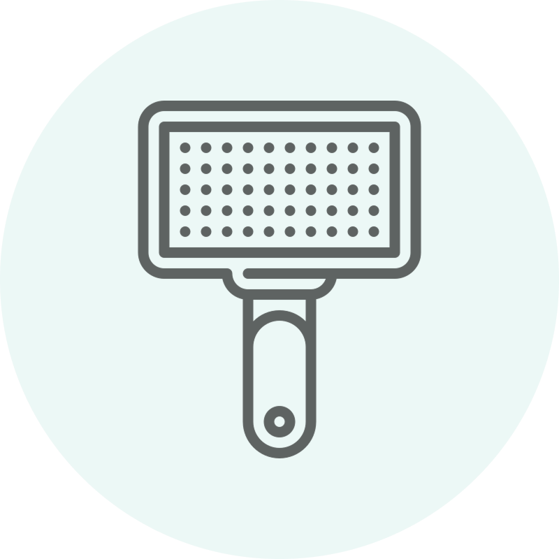 Icon Hygiene