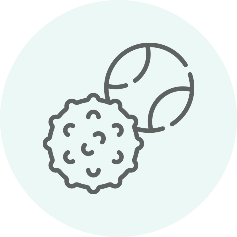 Icon Jouet