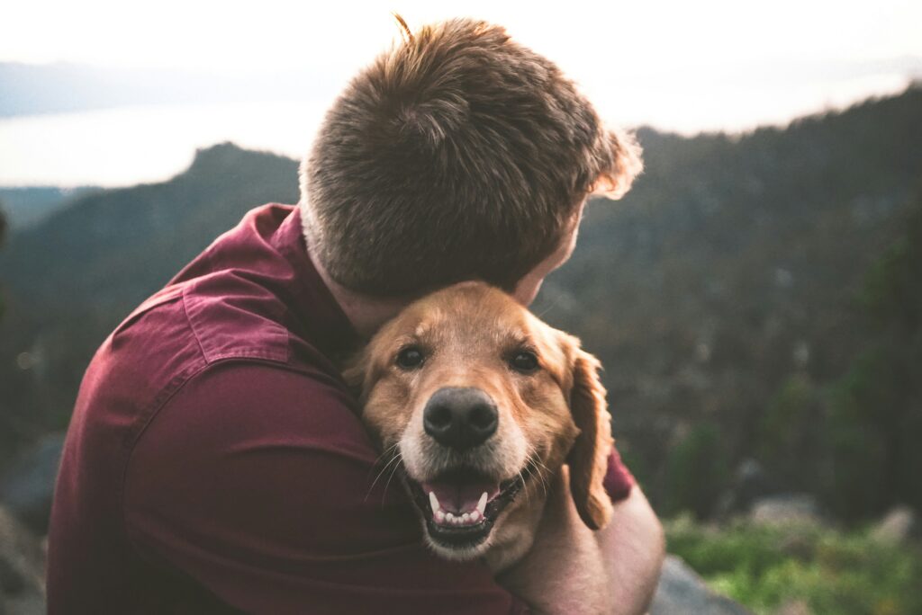 chien calin humain